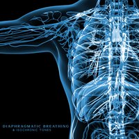 Emotional Detox - Hz Frequency Zone