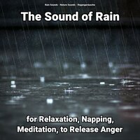 The Sound of Rain for Relaxation Pt. 75 - Nature Sounds & Rain Sounds & Regengeräusche