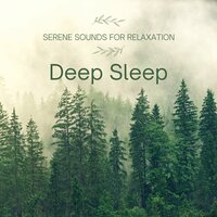 Sleep Serenity - Deep Sleep