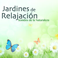 Música para Sanar el Cuerpo, la Mente y el Alma - Relajacion Ariel