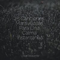 Sueños De Invierno - Meditação Yoga & Relajante Musica & Academia de Relaxamento e Meditação