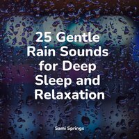 Soft Window Rains - Pro Sound Effects Library & Water Soundscapes & Sleep Music System