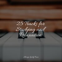 Rarefied Air - Piano Music for Work & Restaurant Background Music & Piano: Classical Relaxation