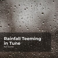 Rain Showers All Day - Rain Sounds & Rain Storm Sample Library & Natural Rain Sounds for Sleeping