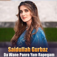 Pa Toro Toro Ghrono Ke - Saidullah Gurbaz