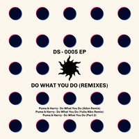 Do What You Do - Harry & Puma & Yulia Niko