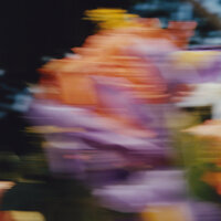 Orsay - Catching Flies