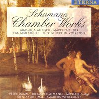 No. 3. Nicht schnell, mit viel Ton spielen - Jürnjakob Timm & Роберт Шуман