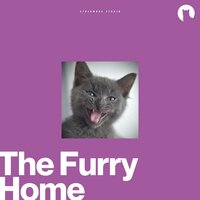 Ocean Oasis Offer - Cats Music Zone