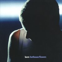 Turn Up the Reverb - Hothouse Flowers & Mixed By: Dave Bascombe. Asistant Engineer: Jake Davies.