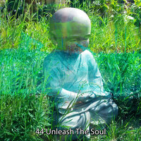 Equalise - Zen Meditate