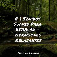 Árboles Que Se Balancean - Massagem & Musica Para Dormir Bebes & Música Relajante para Bebés