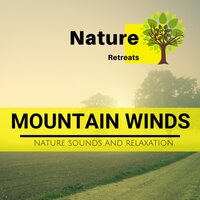 Nitrido Melodies - Meditation Zen Master