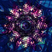 Vertigo - COVERT LOTUS & Kotton Kandy