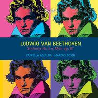 Sinfonie Nr. 5 in C Minor, Op. 67: IV. Allegro - Marcus Bosch & Cappella Aquileia & Ludwig van Beethoven