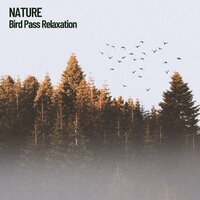 Springtime Again - Nature Sounds Nature Music & Sounds of Nature Noise & The Outdoor Library