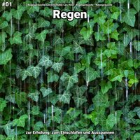 Regen, pt. 45 - Regengeräusche zum Einschlafen Lars Honn & Regengeräusche & Naturgeräusche