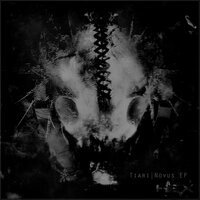 Novus - tiari