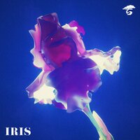 Intentions - Goodknight. & Jandro & Bonsai Collective
