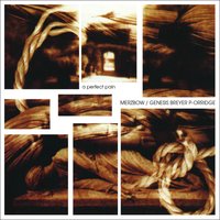 Source Are Rare - Merzbow & Genesis P-Orridge