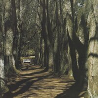 Twilight Song - Motorama
