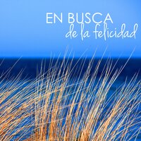 Druidos - Pensamientos Positivos Maestro