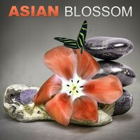 Sleep Therapy Sounds - Asian Zen