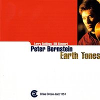 Pivot - Peter Bernstein Trio & Bill Stewart & Peter Bernstein & Larry Goldings