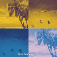 Terrific Beach Parties - Bossa Nova Jazz Prime
