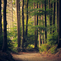 Calm Sounds - Binaural Landscapes & Zen Music Garden & Music for Reading