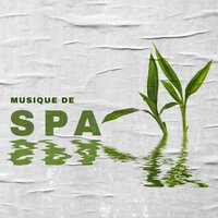 Massage pur - Oasis de Musique Zen Spa