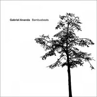 Take off - Gabriel Ananda