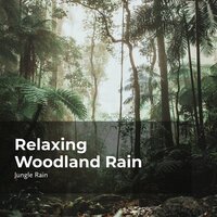 Hush Lulling Nature - Nature and Rain & Deep Rain Sampling & Jungle Rain