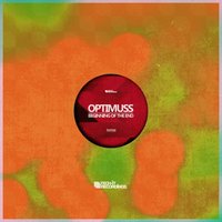 Beginning Of The End - Optimuss