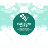 Music - Pulse Plant