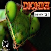 Sunset On The Field - Dionigi