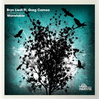 Wavetable - Bryn Liedl & Greg Cameo