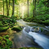 Relaxing Flow - Perfect Meditative Music & Ibiza Chill Out Party & Earth Thunder Sounds 2021
