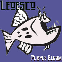 Purple Bloom - Leoesco