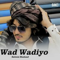 Ustati Anda - Saleem Shahzad