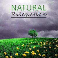 Waves Sounds - Nature Tribe
