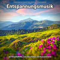 Zeit genießen am Ufer - Entspannungsmusik & Schlafmusik & Entspannungsmusik Sebastian Noiro