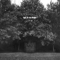 마름모 - QM