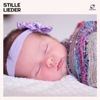 Sternentanz - Meister der Schlaflieder & Baby Schlaflieder & Schlaflieder Baby & Gute Nacht Lieder