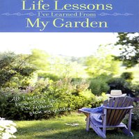 Life Lessons I've Learned From My Garden Pt. 8 - David and the High Spirit