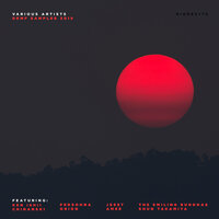 Malfunction Manipulation - Ken Ishii & The Smiling Buddhas