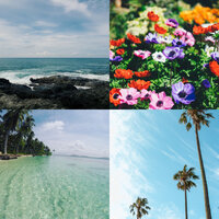 Jingle Bells, Chrismas Shopping - Tropical Christmas Project