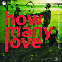 How Many Love - Falko Niestolik & Carl Clarks