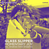 Momentary Joy - Glass Slipper & Andrew Emil