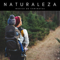 Al Paso De La Montaña - Academia de Música con Sonidos de la Naturaleza & Ruidos de la Selva & REIKI